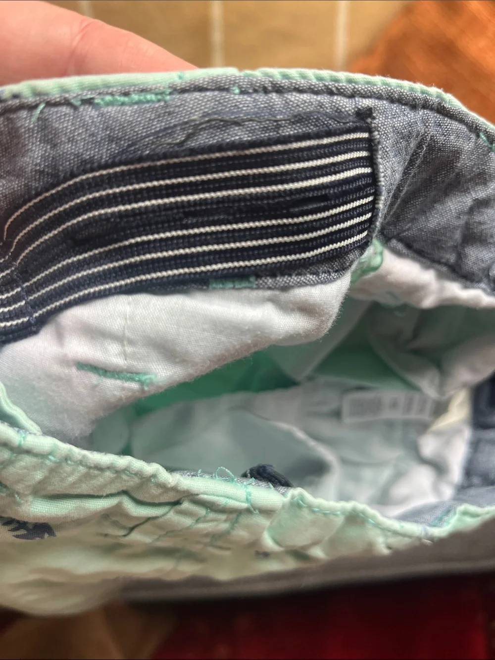 OshKosh Bgosh mint shorts